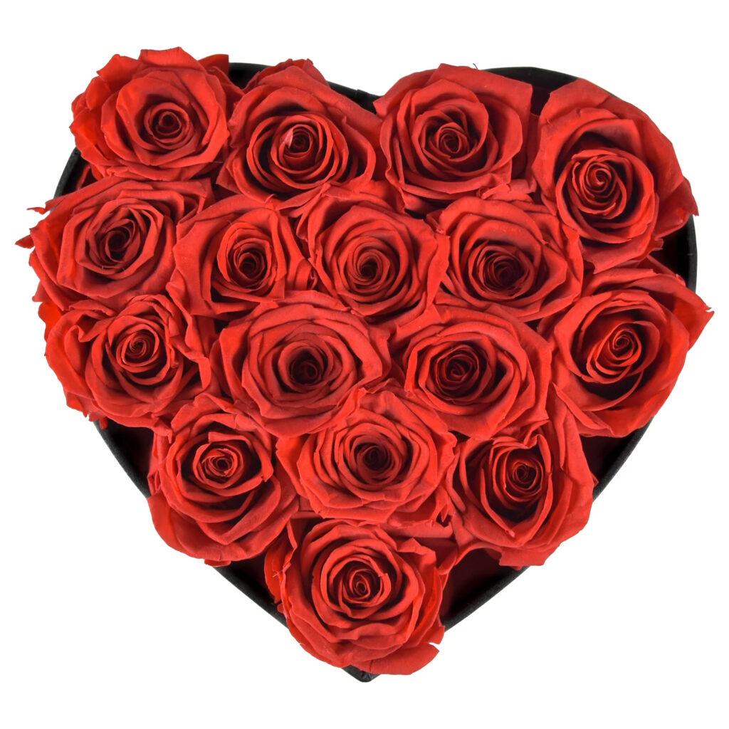 Everlasting Roses - Valentine's Day Roses - Lingna Roses
